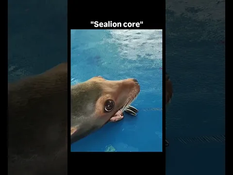 🤣🤣