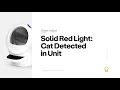 Solid Red Light Cat Detected in Unit Litter-Robot 4