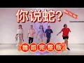 [ 你说蛇? What You Say? ] 1119 [2025 蛇年新年歌] | FDW | Fit Dance Workout | Fitness Dance | Dance Workout