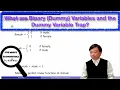What are Binary Dummy Variables and the Dummy Variable Trap Five Minute Econometrics Topic 26