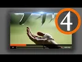 Custom HTML5 Player Mute and Fullscreen button