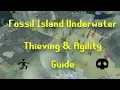 Fossil Island Underwater Thieving And Agility Guide OSRS