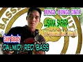 Download Lagu BUNGA - BUNGA CINTA - LUSIANA SAFARA // Cover Bass by Dalmidi Red Bass