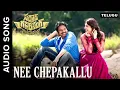NEE chepakallu audio song