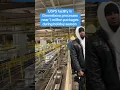 USPS facility processes 1 million packages in Greensboro per day