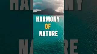Harmony of Nature | Raiatea Inesco Island