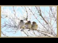 Download Lagu -           - YouTube.mp4