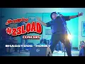 Download Lagu #23LOADCONCERT | SHAGGYDOG - HONEY [LIVE]