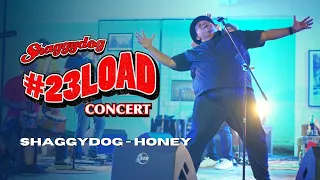 23loadconcert shaggydog honey live 