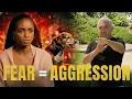 Lagu How Fear in Humans Becomes Aggression in Dogs | Better Human Better Dog | S3E06