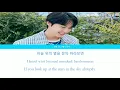 Doyoung Of NCT   Like a Star Yumi's Cells OST Pt 4  (Color Coded Lyrics) Han/Rom/Eng