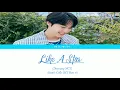 Download Lagu Doyoung Of NCT   Like a Star Yumi's Cells OST Pt 4  (Color Coded Lyrics) Han/Rom/Eng