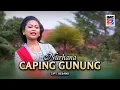Download Lagu Nurhana - Caping Gunung (Aneka Hit Campursari) IMC Record Java