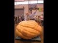 The Secrets of Growing Champion Giant Pumpkins