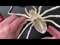 Duane s Hobby Bench - Halloween Spider