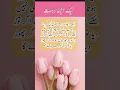Download Lagu Best Friend like A Flower 🌹~ Beautiful Urdu Quotes #motivation #trueline #bestfriend #shorts #short