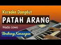 Download Lagu PATAH ARANG - LEO WALDY | Karaoke Dangdut Tanpa Vokal