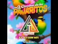 La Cumbia de los Pajaritos