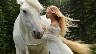 على حسب الريح مايودى   عبد الحليم دندنها