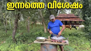 ഞങ്ങളുടെ പുതിയ ഫാം വിശേഷങ്ങൾ! ഫിഷ് കട്ടിംഗ് & സ്പെഷ്യൽ ആപ്പിൾ ചാമ്പ നടീൽ village vlog. ￼￼Family vlog