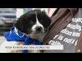 Pa sees renewed push to raise dog licensing fee which hasn t changed since 1996