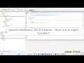 Apache NetBeans IDE 21 Tutorial - Short Cut to insert boolean