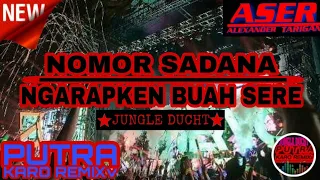 Download DJ JUNGLE DUCHT 2021 | NOMOR SADANA | NGARAP BUAH SERE | REQ.Rhezky Rio Ginting | PUTRA KARO REMIXv MP3