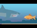 Small Fish - Vector Motion Graphics Dylan Artworks