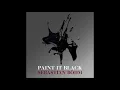 Sebastian Böhm - Paint It Black (Official \