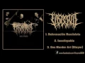 Download Lagu Visceral - Full Promo (1080P HD)