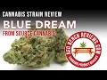 Source Cannabis Blue Dream Strain Review 25 6 THC