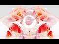 BUNT. x Elley Duhé - Lost My Mind (Wake Up)