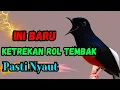 PASTI NYAUT‼️pancingan murai batu gacor sangat AMPUH jadikan murai DIAM langsung bunyi GACOR nyaut