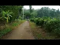 Download Lagu Cerita kehidupan (mancing)