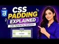 CSS Padding Explained CSS Tutorial for Beginners