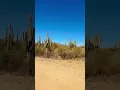 POV You Ditched the Tourist Traps for THIS Arizona Adventure