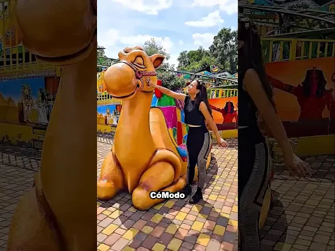 Ella solo quería descansar... ¡pero mira lo que pasó! 😱🐊 #shorts #youtubeshorts