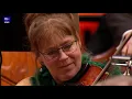 An Der Schönen Blauen Donau // Danish National Symphony Orchestra (Live)