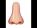 nose in illustrator