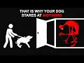 If Your Dog Barks at an Empty Room DO NOT LOOK Analog Horror