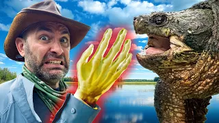 Snapping Turtle vs Hand Will it Break