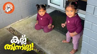 Daily Vlog EP. 181| കല്ല് തിന്നില്ല  | Family Vlog Malayalam | New Zealand | @BoomBaangh