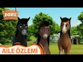 Aile Ozlemi Doru 81 Bolum