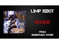 Download Lagu Limp Bizkit - Nookie [Lyrics Video]