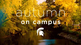 60 Seconds Of Spartan Autumn Michigan State University 