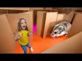 Nastya and the hamster s escape from the cardboard maze