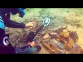 Download Lagu Search For Gold Rings Watches \u0026 TINY Jewelry (STUCK in ROCKS)