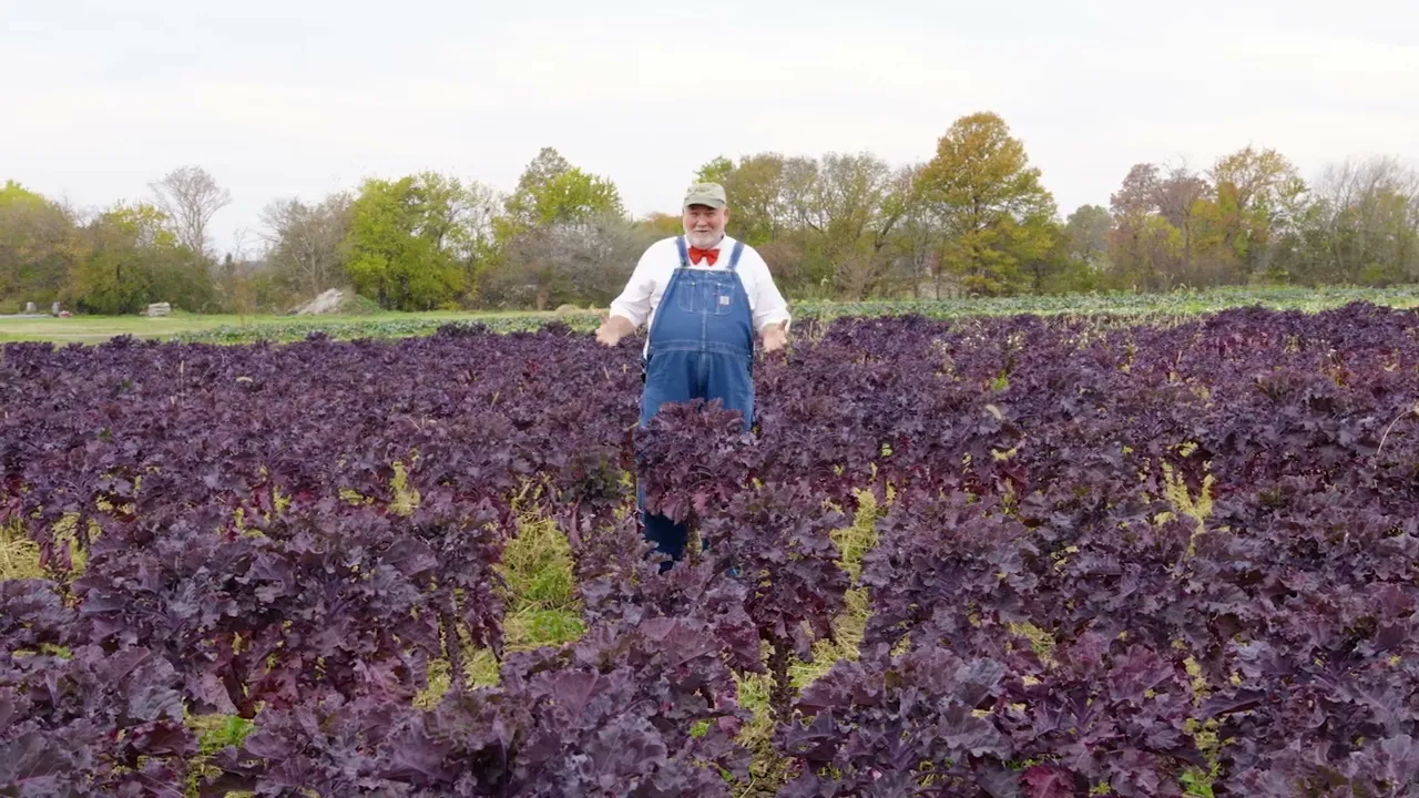 Kalettes with Farmer Lee Jones