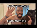 Living with cats is honestly ridiculous