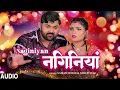 Download Lagu #audio NAGINIYAN #samarsingh #shilpiraj नगिनियां | Bhojpuri Song | T-Series